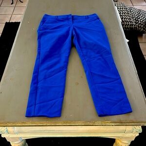 Express Columnist cropped business pants. Royal blue. Size Medium.